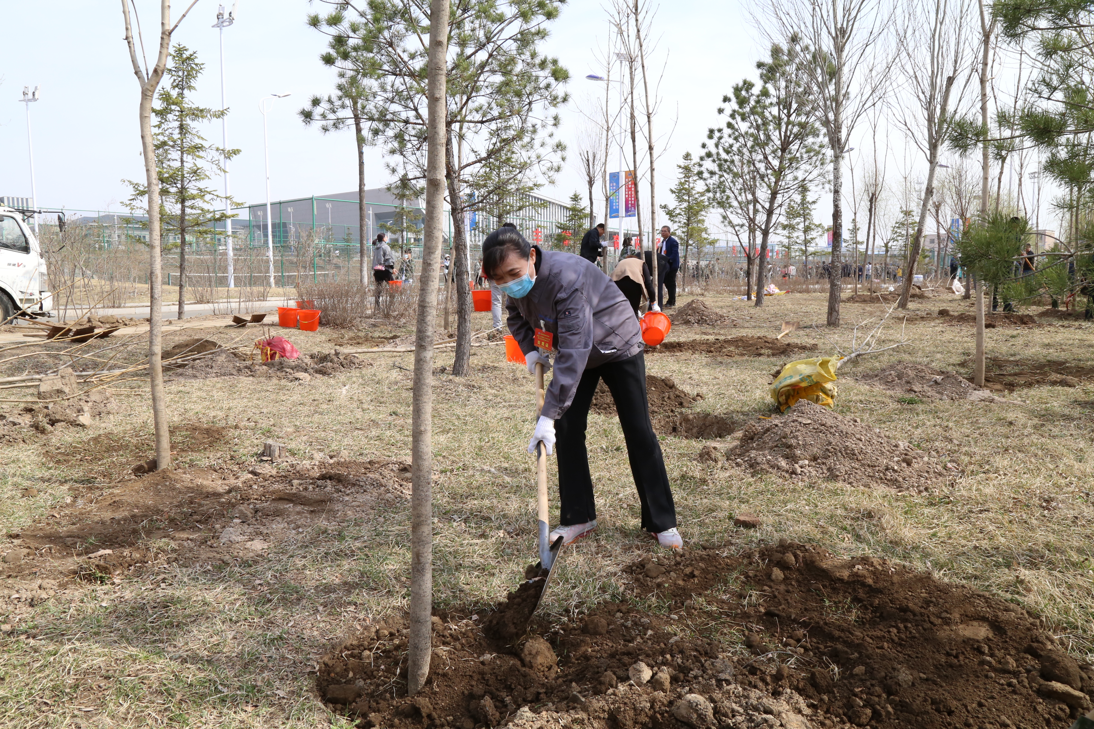 副校长张辉在植树活动现场